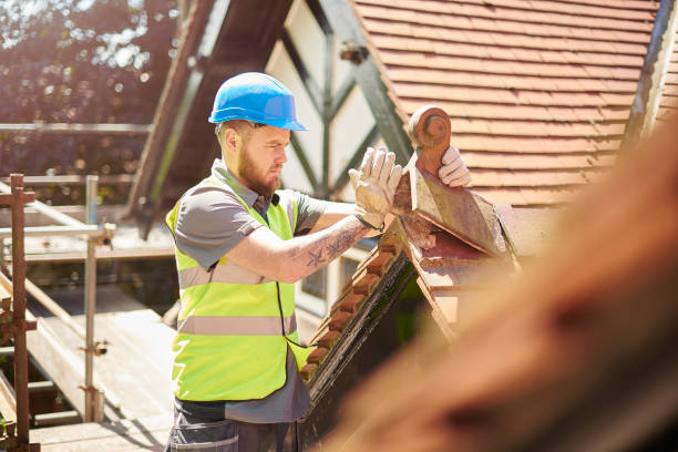 Best Metal Roofing Contractor  in Bowman, ND